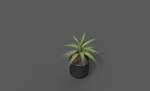 Room Plant Pack