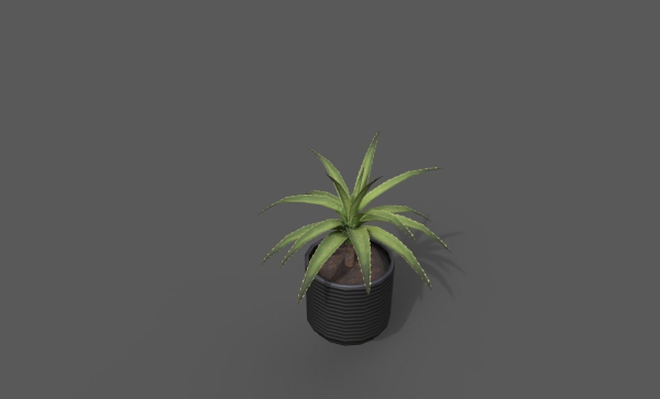 Room Plant Pack