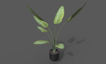 Room Plant Pack