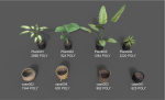Room Plant Pack