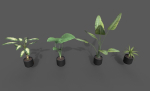 Room Plant Pack
