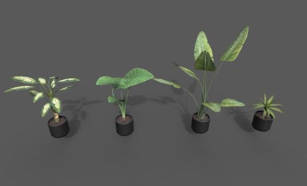 Room Plant Pack