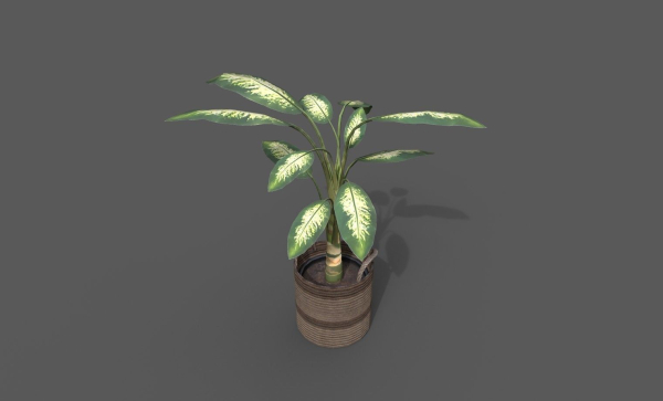 Room Plant Pack