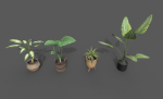 Room Plant Pack