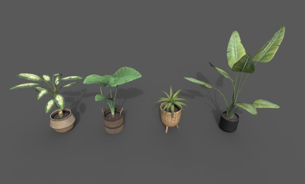 Room Plant Pack