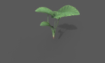 Room Plant Pack