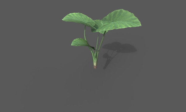 Room Plant Pack