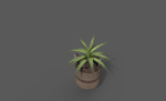 Room Plant Pack