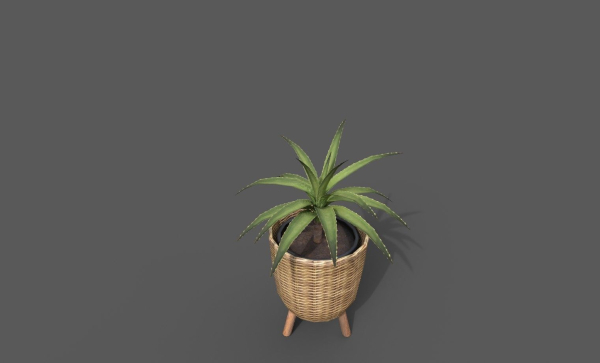 Room Plant Pack