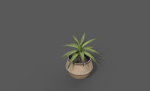 Room Plant Pack