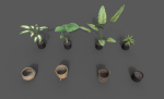 Room Plant Pack