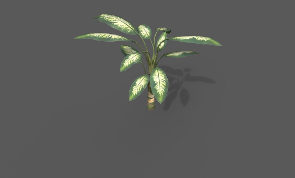 Room Plant Pack