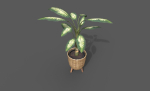 Room Plant Pack