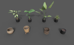 Room Plant Pack