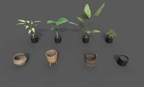 Room Plant Pack
