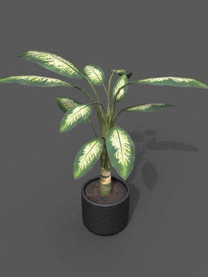 room-plant-pack-3d-model-8cdeee8abb