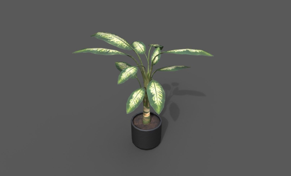 Room Plant Pack