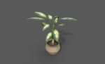 Room Plant Pack