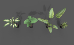 Room Plant Pack