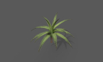 Room Plant Pack
