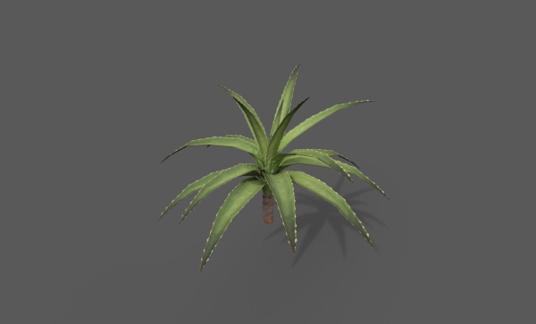 Room Plant Pack