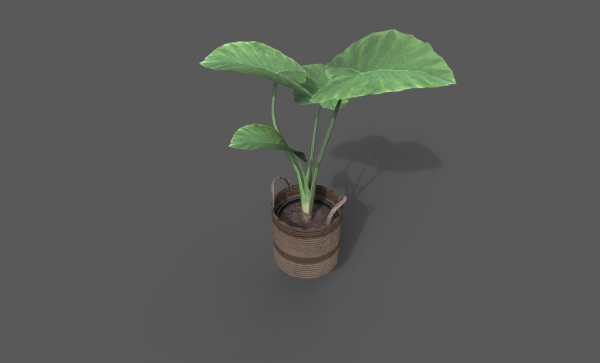 Room Plant Pack
