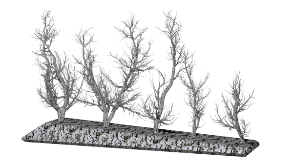 Root 5 trees low-poly R2