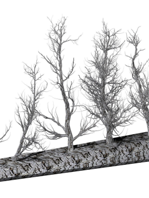 Root 5 trees low-poly R2