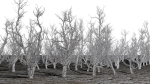 Root 5 trees low-poly R2