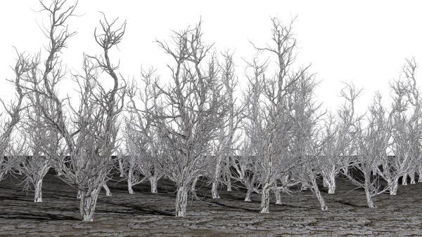 Root 5 trees low-poly R2