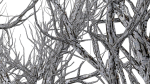 Root 5 trees low-poly R2