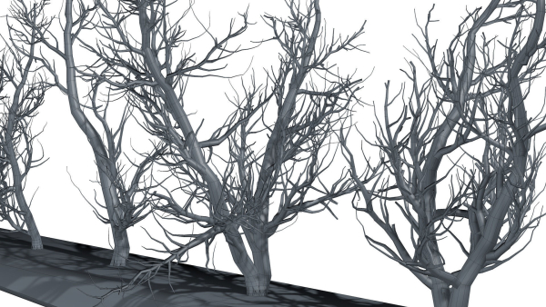 Root 5 trees low-poly R2