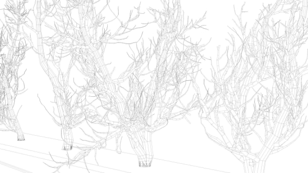 Root 5 trees low-poly R2