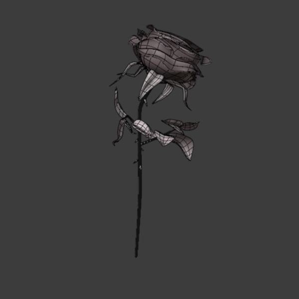 Rose 3d Model