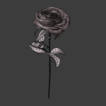 Rose 3d Model