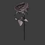 Rose 3d Model