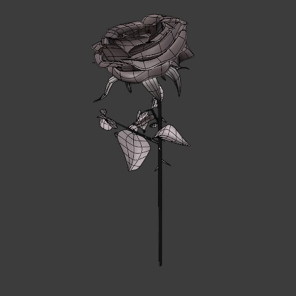 Rose 3d Model