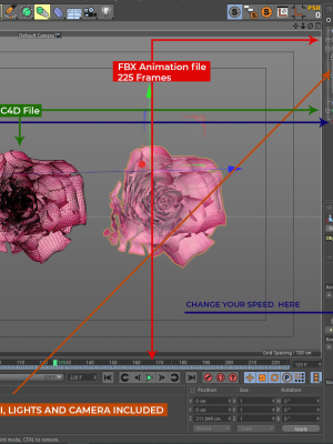 rose-blast-animated-3d-model-animated-rigged-obj-fbx-c4d-abc