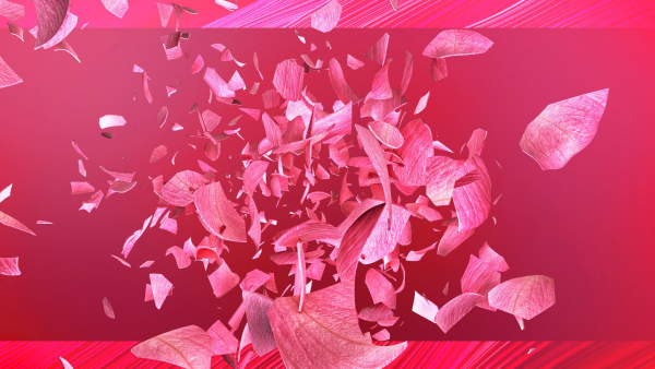 Rose Blast Animated