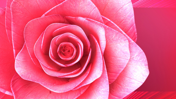 Rose Blast Animated
