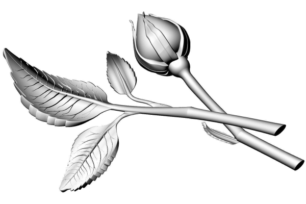 Rose Bud