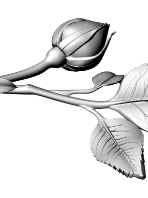 rose-bud-3d-model-e17711cb25