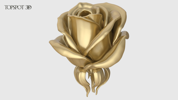 Rose Buds And Leaves Set