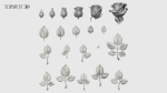 Rose Buds And Leaves Set
