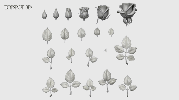 Rose Buds And Leaves Set