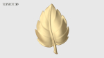 Rose Buds And Leaves Set