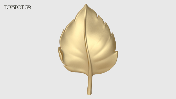 Rose Buds And Leaves Set