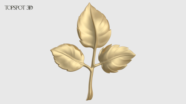 Rose Buds And Leaves Set