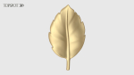 Rose Buds And Leaves Set