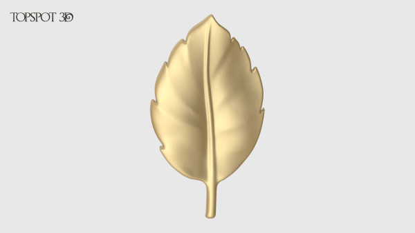 Rose Buds And Leaves Set